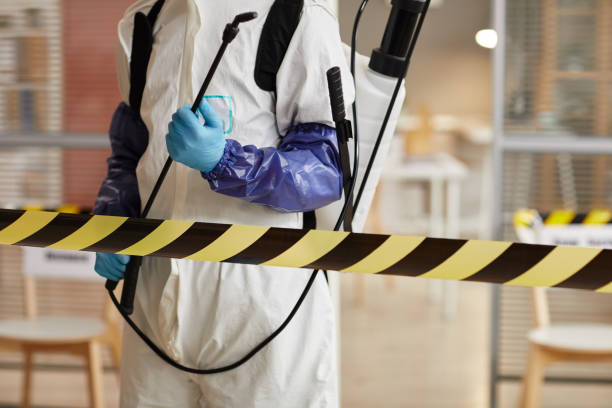 Professional Biohazard technician working in Rimforest, CA